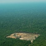 Instituto registra aumento de 15% de desmatamento da Amazônia em um ano